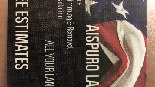 Aispuros Landscape & tree service