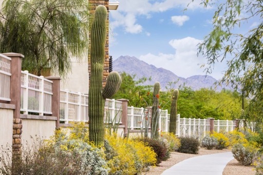 Sierra Sun Landscaping