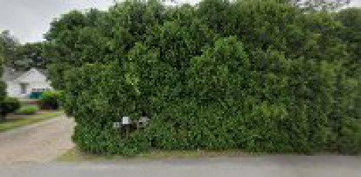 Island Maintenance & Remodeling