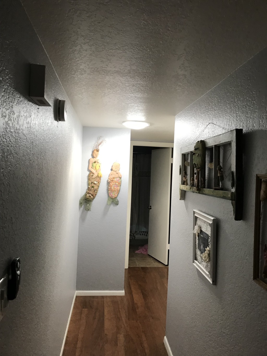 Skylight and Solar Tube Expert