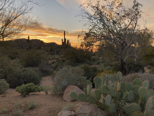 Outdoor Lifestyles by Par, Inc.