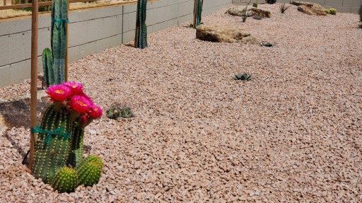 Cole-Jon Landscape LLC