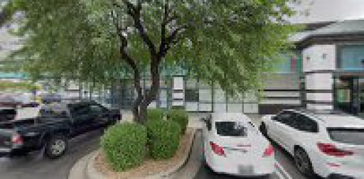 Vision Landscaping Consulting