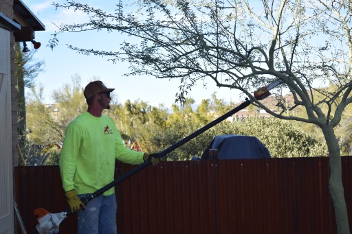 Action Yard and Tree Service Tucson AZ | Landscaping Company