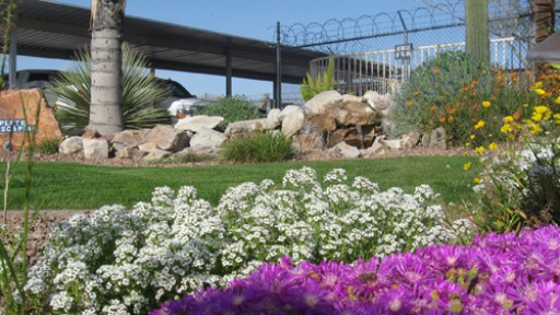 Complete Landscaping