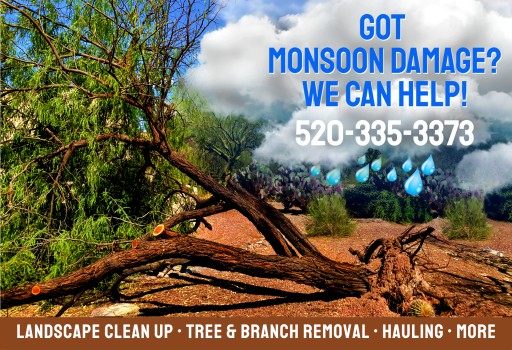 Desert Nurture | Eco-Friendly Landscaping