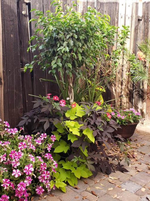 Green And Trim Landscape