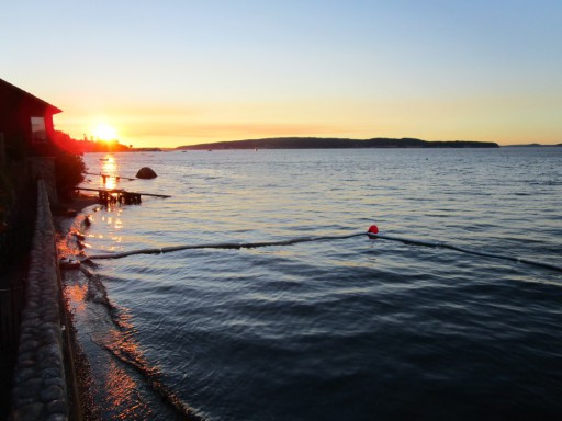 Left Coast Services LLC