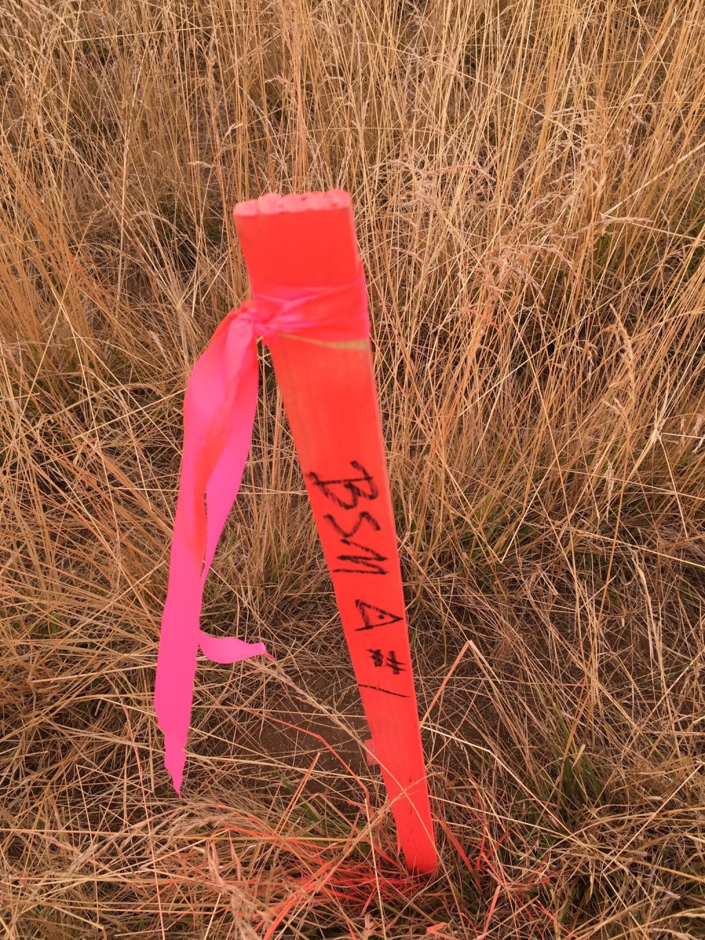 Boundary Surveying & Mapping Inc