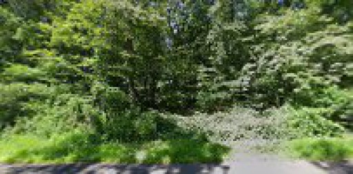 Elite Home Improvement