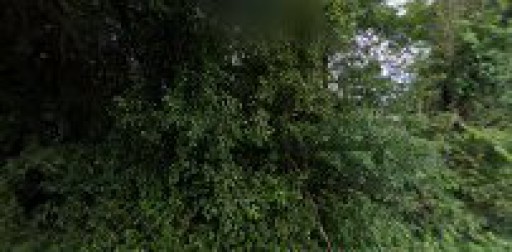 Real Floors Columbus