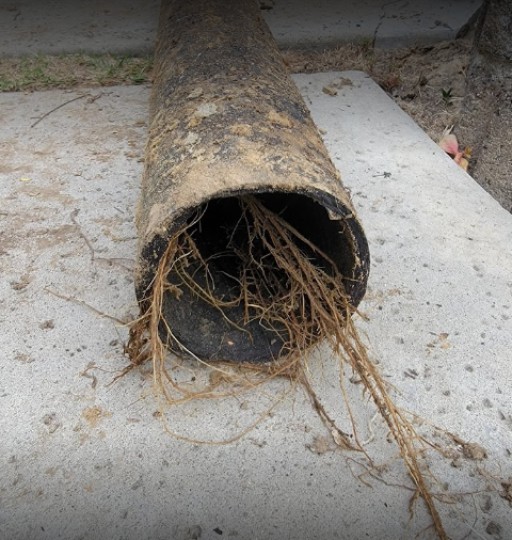 All Peoria Plumber & Drain Cleaning Co.