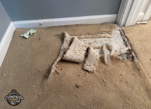 Compass Carpet Repair & Cleaning