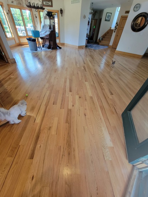 Vazquez Commercial Contracting