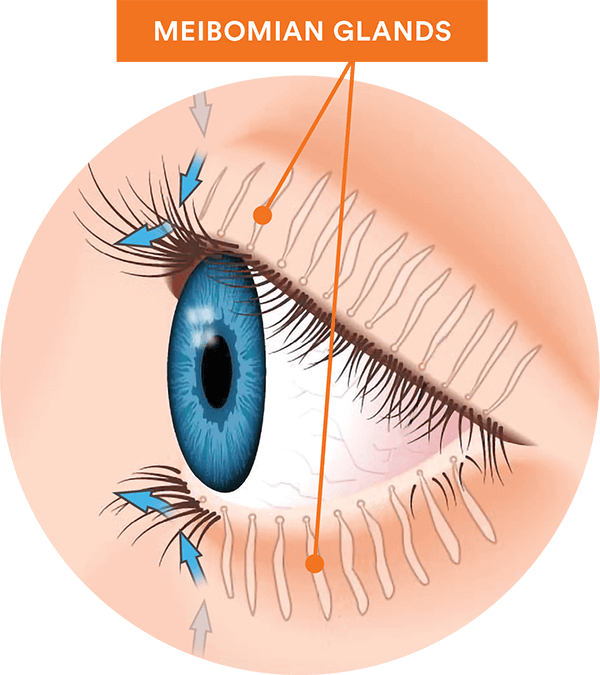 eye care, why are tears so important