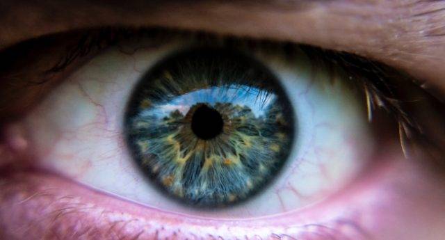 6 Tips For Having Healthy Eyes Contact Lenses Eye Doctor Near You