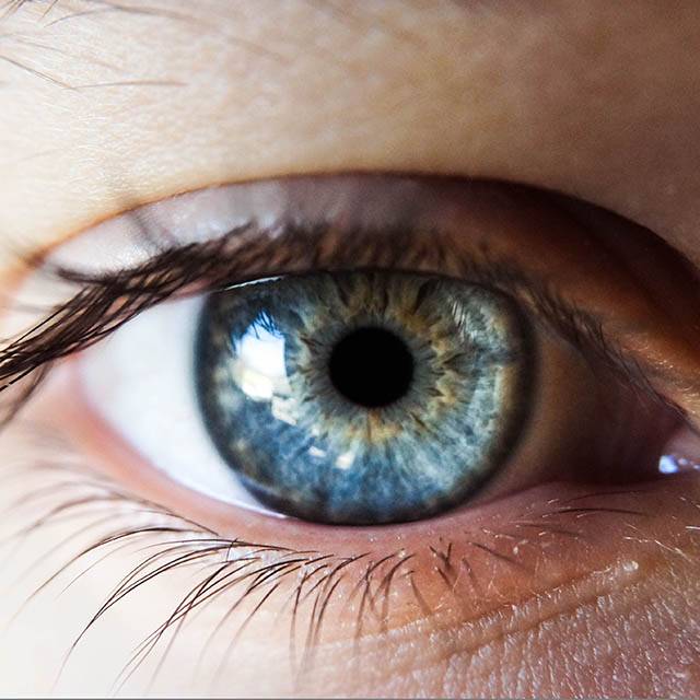 How Can You Find Diseases by Looking at My Eyes?