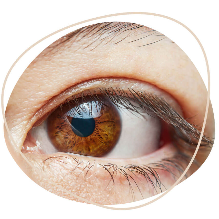 eye-in-a-graphical-circle