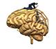 brain rehab