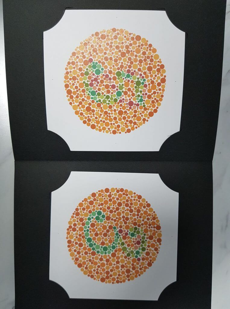 Ishihara 2 763x1024