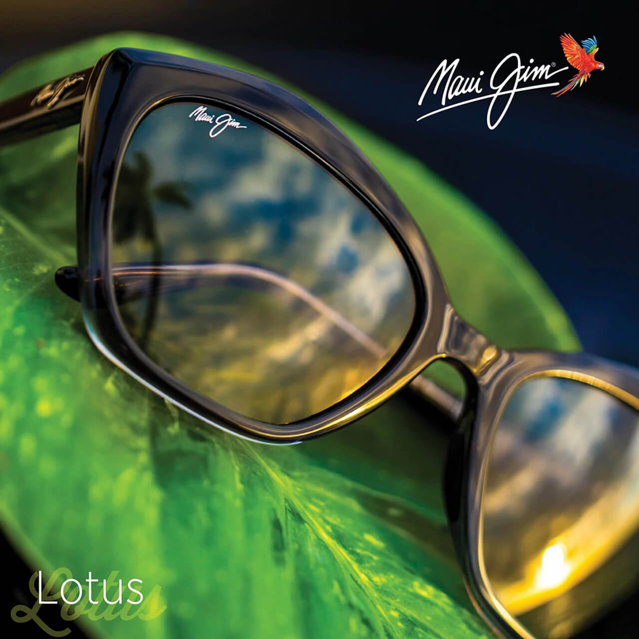 Mj 2020 Lotus Trade Social Media Post
