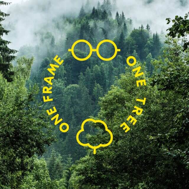 one_frame one_tree_09 640x640