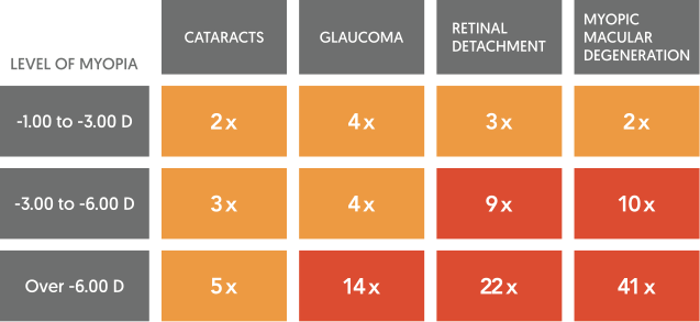 Myopia risks Fitcroft 2012