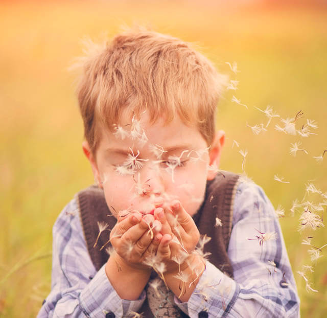 what is myopia