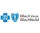 Blue Cross Blue Shield