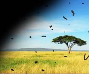 treatment for retina detachment
