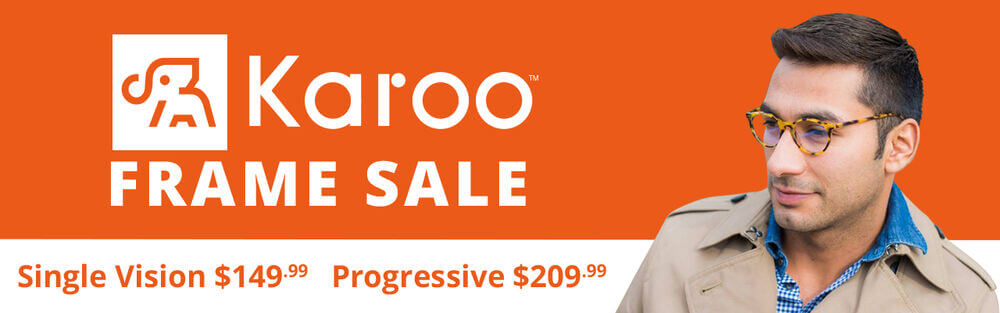 large KarooSale WebBanner