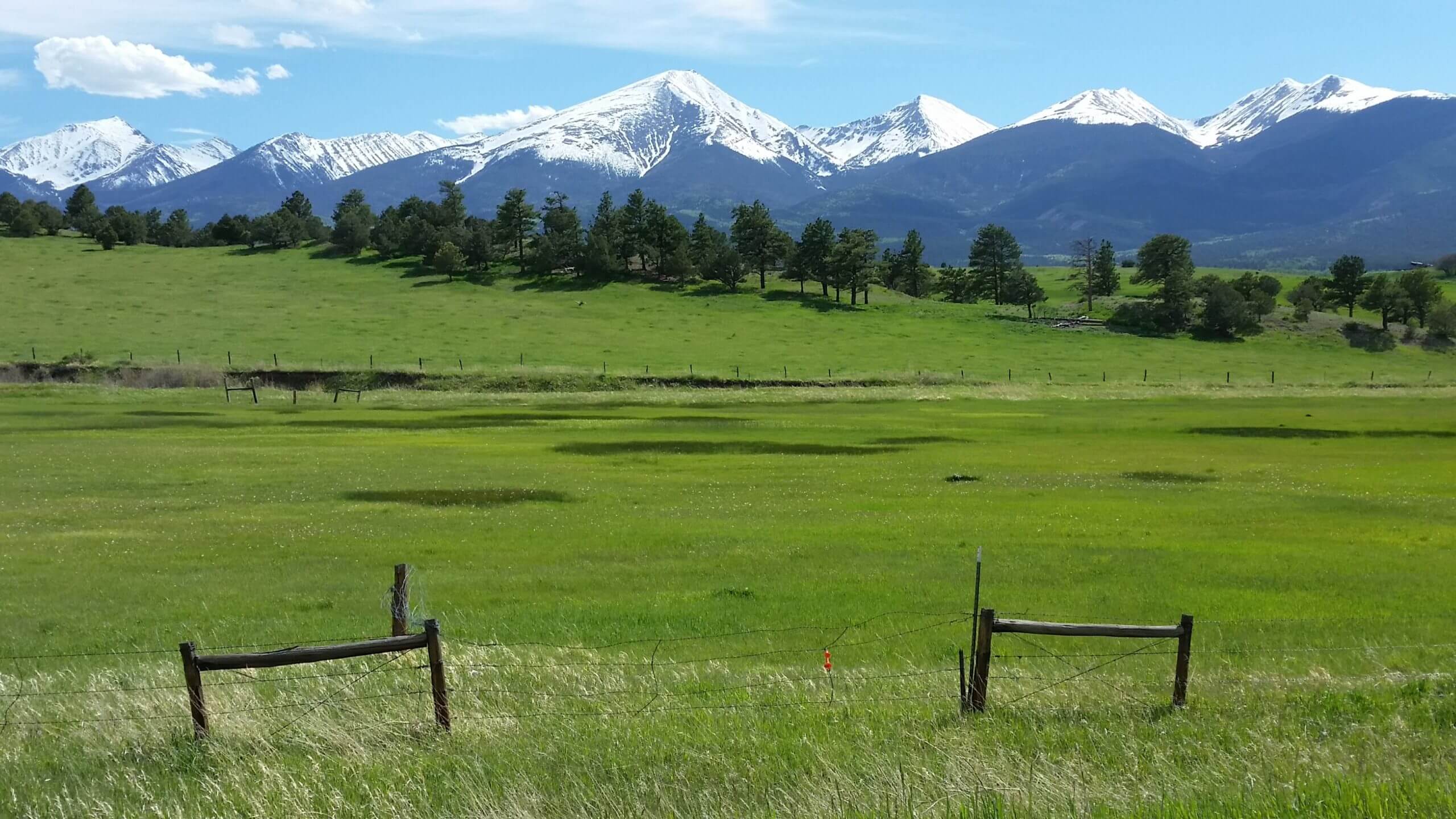 Location Pasture RT
