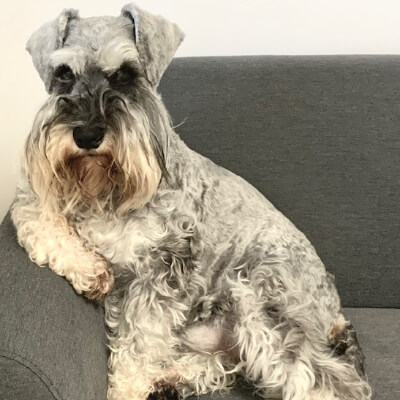 daisy_GSP_UID_933174aa-85d0-4360-8a6e-9d1f024f37f8.jpeg