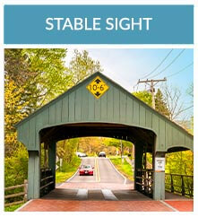 Stable Image 1 copy