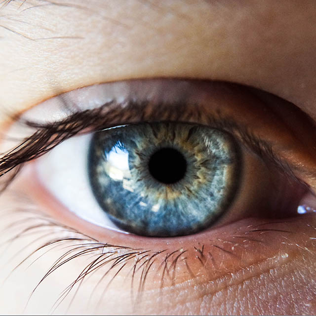 How Can You Find Diseases by Looking at My Eyes?