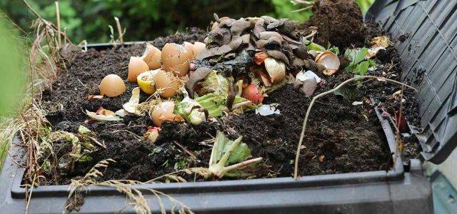 composting img