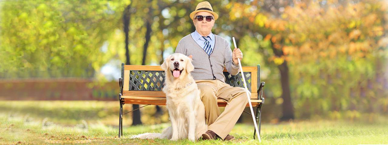 Glaucoma Testing & Treatment