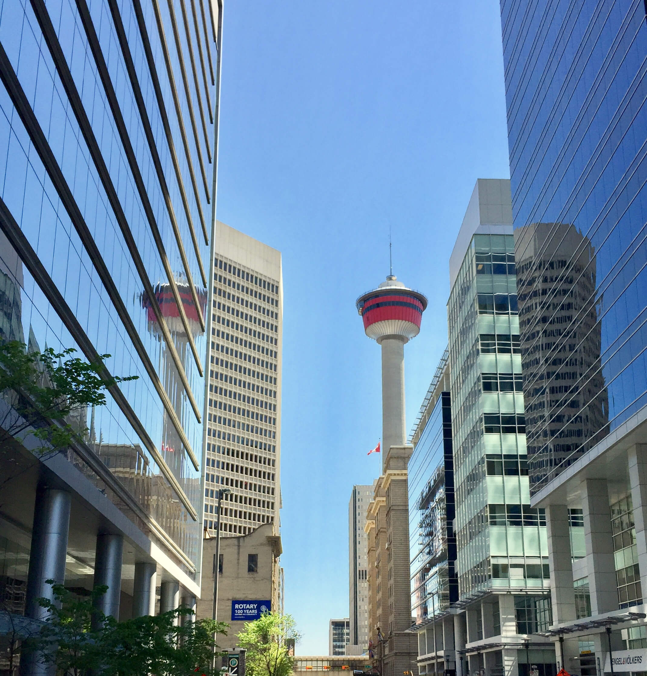 Calgary Foresight