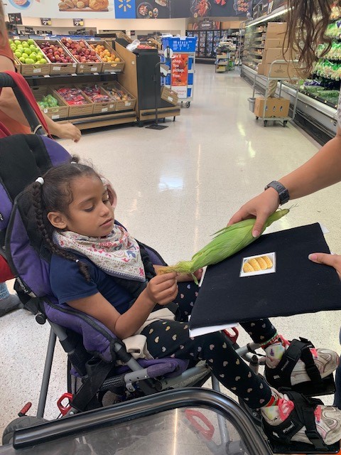 Welcome to Our World