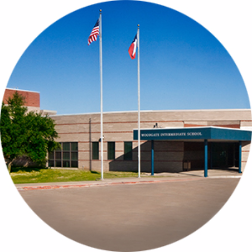 LivingTree View User