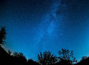 Northern Forest 1024x748