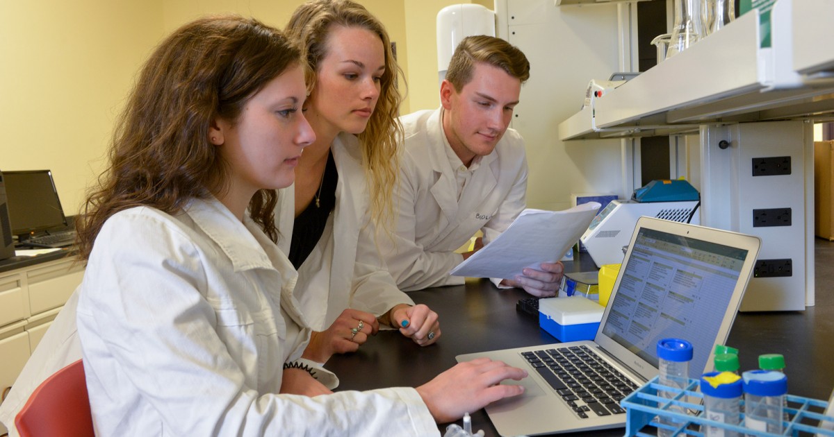 Biology specification edexcel a level image