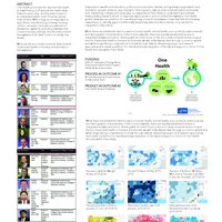 Thumbnail image for Finding Common Space: Reconciling One Health socio-environmental factors in PA 