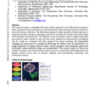 Thumbnail image for Tunable and Responsive Structural Color from Polymeric Microstructured Surfaces Enabled by Interference of Totally Internally Reflected Light