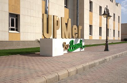 Continuing Education & Community Service Center — University of Prince Mugrin