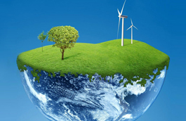 ENVIRONMENTAL POLITICS AND LAW