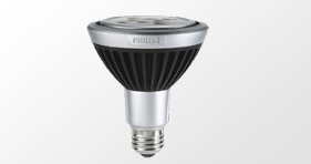 LED Bulbs