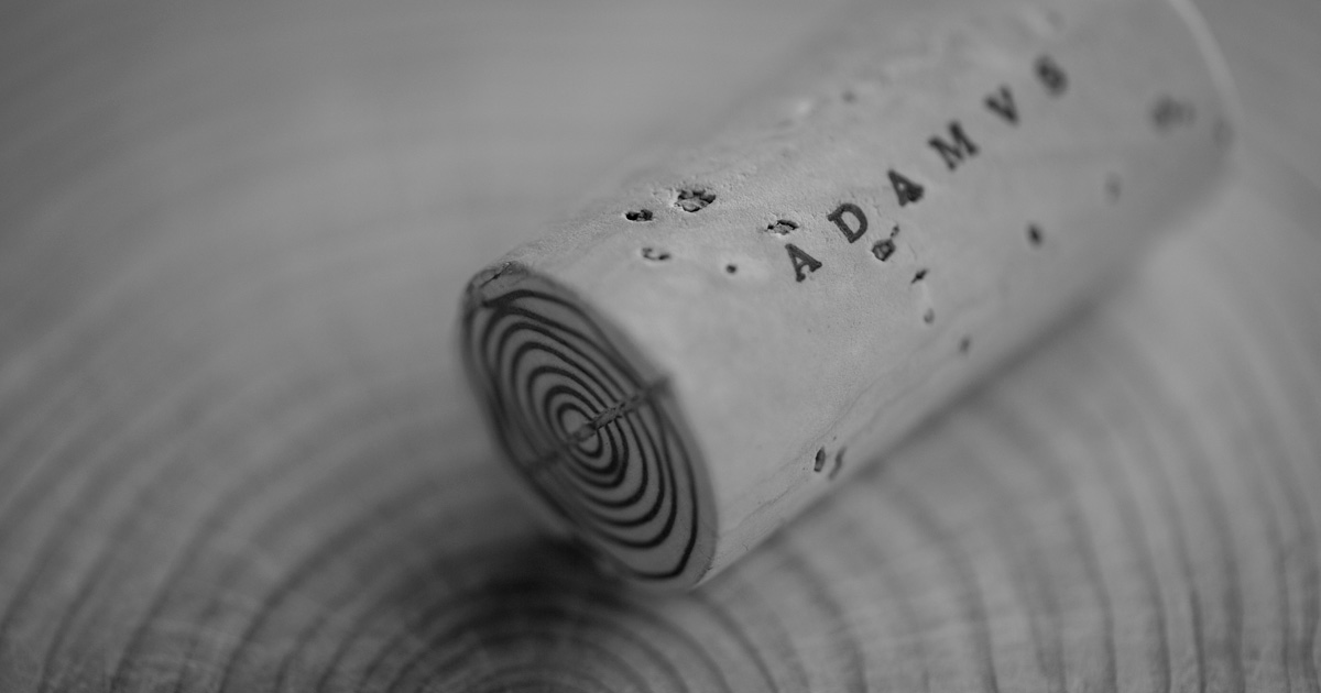 ADAMVS