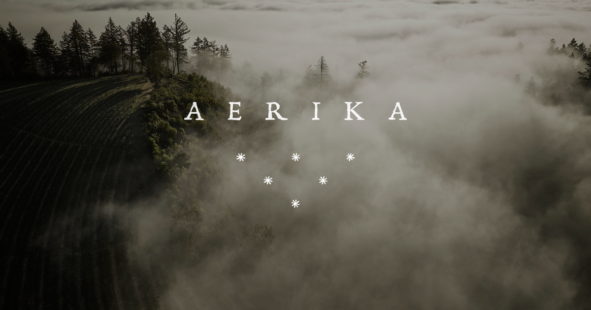 Aerika Estate social OG image