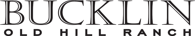 BUCKLIN logo